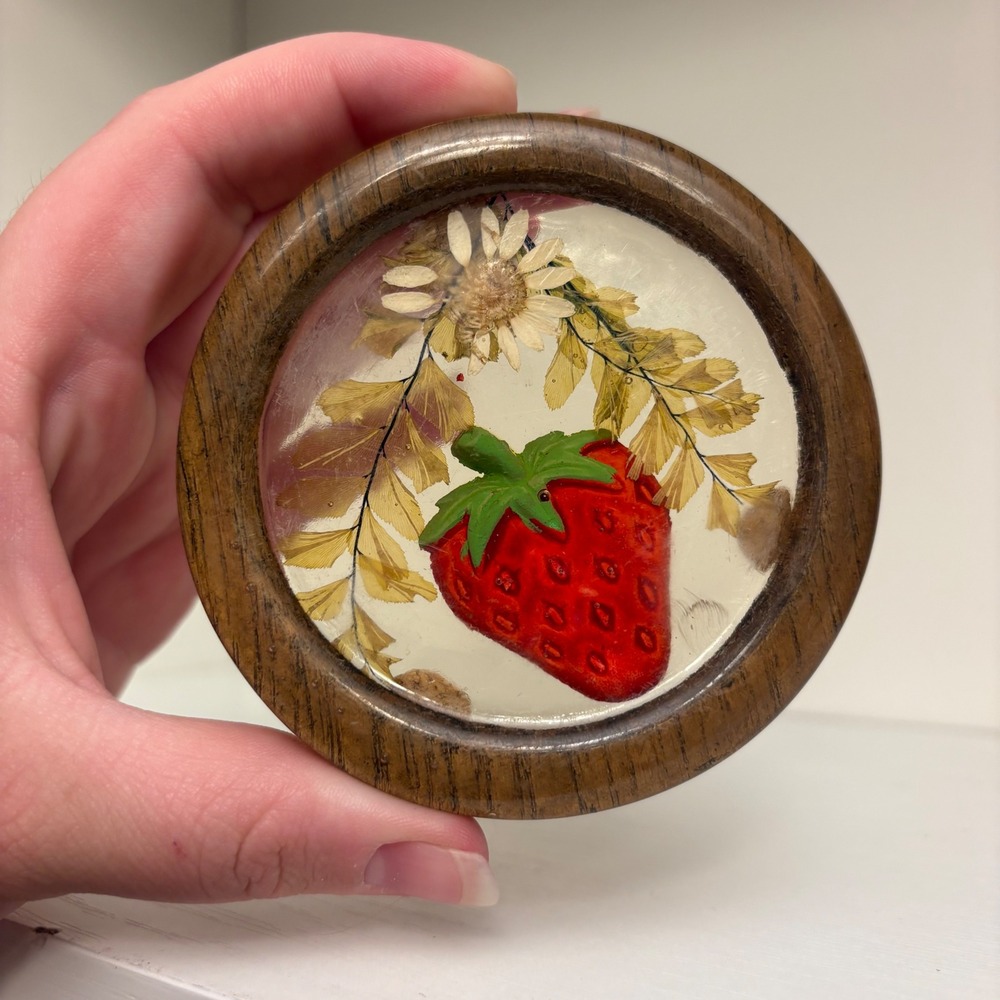 VTG Gamut Designs Strawberry Pressed Flower Resin Coaster Made in USA Wood Rim